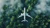 Global airline industry’s carbon offsetting scheme ‘facing big supply crunch’
