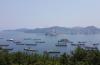 U.S. wants South Korea to join efforts to counter China in shipbuilding