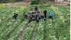 SGF, NGO seek unified climate policy framework to drive food security in Nigeria