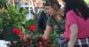 Free environmental crafts and activities come to The Well