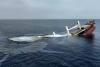 ‘All Crew Muslim’: Red Sea ships broadcasting messages in bid to avert Houthi attacks