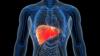 Scientists Develop Glowing Tool To Reveal Cancer Cells