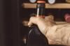 How to choose the right beverage shipping service for your needs