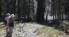 Idaho insulated from Roadless Rule repeal