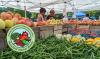 Maryland Market Money Moves To State Agriculture Department, Expanding Food Access And Support For Farmers
