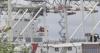 Major Cargo Carrier Halts EV Shipping to Hawaiʻi