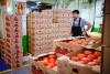 US set to deal a trade blow to Mexican agriculture with 17% tariff on its tomato exports