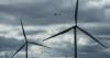 Irish wind farms see record June with share of electricity rising to 30%