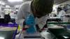 US funding cuts halt HIV vaccine research in South Africa