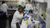 U.S. aid cuts halt HIV vaccine research in South Africa, with global impact