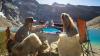 Experience The Adventure Of A Lifetime With A Luxury Trip To Chilean Patagonia