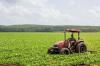 Legal Challenges Facing Indiana’s Yucatán Immigrants in the Agricultural Sector