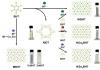 Tokyo University of Science Scientists Pioneer Scalable ‘Ink’ for Next-Gen Electronics and Catalysts