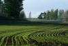 Trump administration halts research on PFAS contamination in farm soil and food
