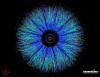 Scientists Unlock Secrets of Matter Under Extreme Conditions