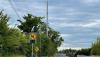 High Court quashes licence for telecommunications pole