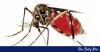 Dengue: 375 patients hospitalised in a day