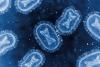 Studies track ‘concerning’ spread of mpox