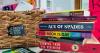 Ayotte vetoes Republican-backed public school book ban bill