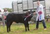 Showcasing the best of rural Caithness with two days of agricultural excellence and family entertainment
