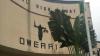 Court sits today as ex-U-17 player sues NFF