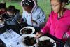 Watershed Education and Stewardship Grants Awarded in St. Mary’s County and Baltimore City