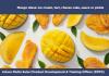 GFNC: Minimising Food Waste Educational Video Part 2