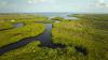 Scientists make surprising discovery that could impact future of Florida Everglades: 'Predictions look very different'