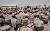 Data leak forces UK to secretly rehome Afghans