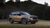 This new hybrid's mpg is good. Its electronics, not so much. 