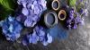 FDA adds Gardenia Blue to approved natural food colors, urges industry to drop Red No. 3