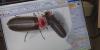 MSU scientists research global decline of firefly population