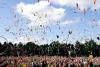 Vanners gather for new Sussex Dub & Vanlife Festival 2025, offering a weekend of live music and food
