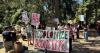 School of Social Welfare fights layoffs, calls to continue practitioner-led education