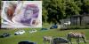Fraudster spent Covid loan on safari park and credit card debt instead of supporting his business during the pandemic