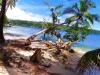 Tackling Systemic Inequities in The Solomon Islands Healthcare System: The Race-Health-Governance Nexus