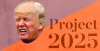 Project 2025 contributors celebrate the Trump administration moving to dismantle the Department of Education