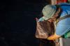 Skates and salmon farms: science is part of the equation