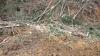Waihī logging company fined $112,500 for stream pollution, breaching environmental standards