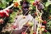 Cameroon Says Cocoa-Coffee Sector 99% Traceable, Ready for EU Deforestation Law