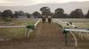 Ex-jockey, former lawyer alleged to have stolen Chanel costume jewellery