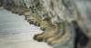 Defense spending bill moves to senate floor, includes significant funding for ENC military installations