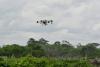 Ivory Coast farmers hope tech tempts jaded youth back to fie...