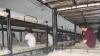 Kuwait Arrests 1,461 Expats for Residency and Labor Violations