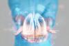 Scientists 3D-print Lung Model