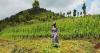 More than 30 years on, genocide against the Tutsi in Rwanda reminds us we said 'never again' many times before