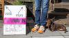 UK wants to lower voting age to 16: Which other nations allow adolescents to cast ballots?