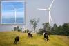 New York halts offshore wind power lines, citing Trump opposition