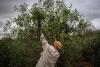 It’s Time To Take Stock: What’s Next For Global Food Systems?