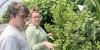 Local food program connects farmers with people in need